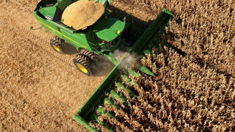 616C Corn Head