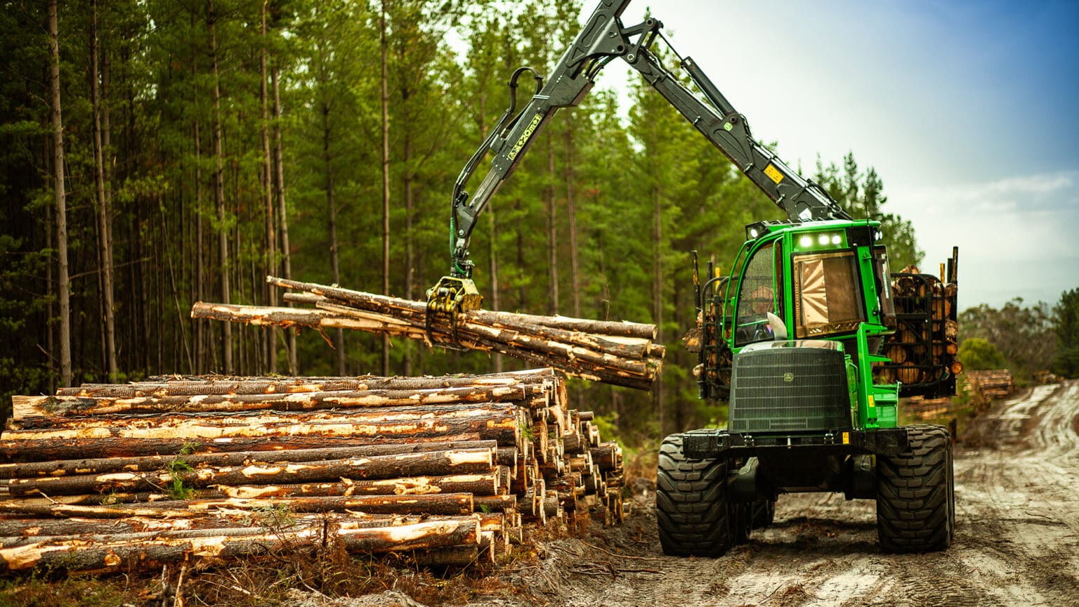 RDO forestry 5