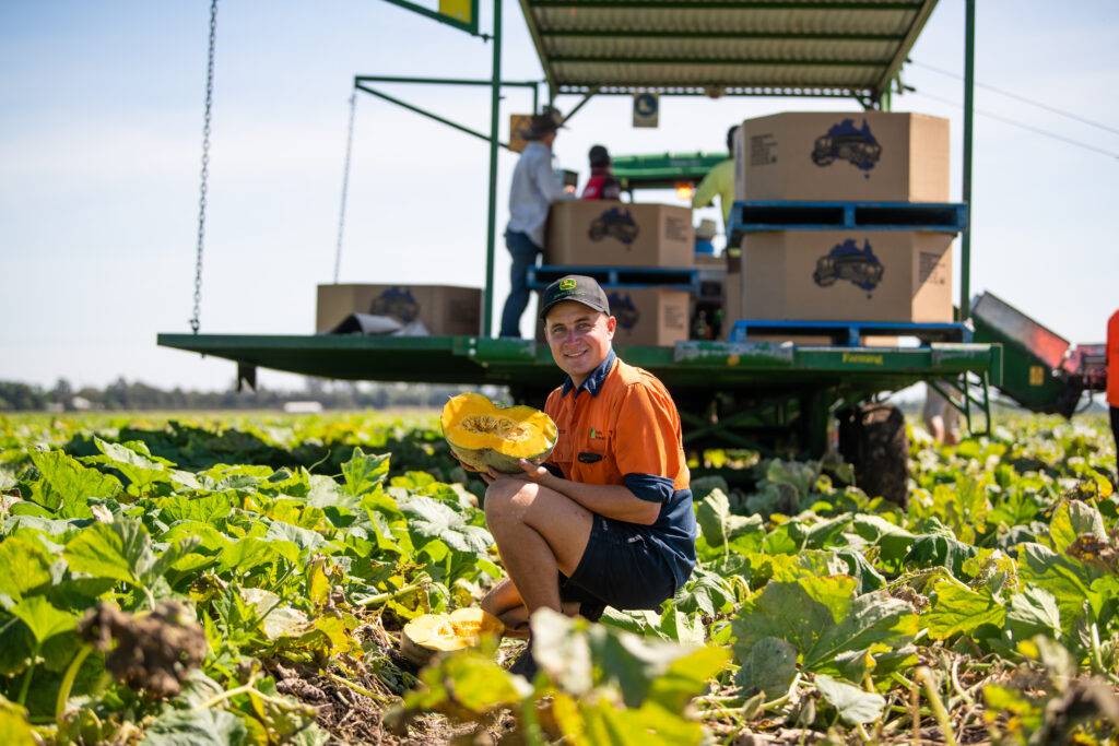 VNET Service: Crop Cycle Management