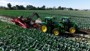 Barden Farms recently took delivery of a new 6M 130 to assist in cabbage harvesting and other critical farm tasks.