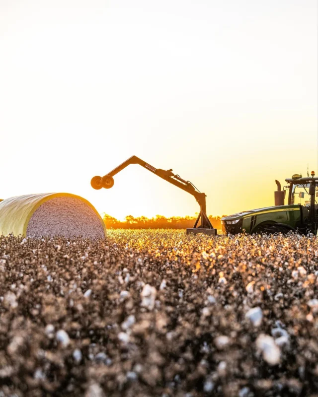 It’s that time again, and we’ve got you covered. 🤝 Orders for cotton wrap will be opening soon. Keep an eye out for communications from your local RDO team for more information.
 
#RDOequipmentau #cotton #cottonwrap #australiancotton #cottonaustralia #ag #agriculture #australianagriculture