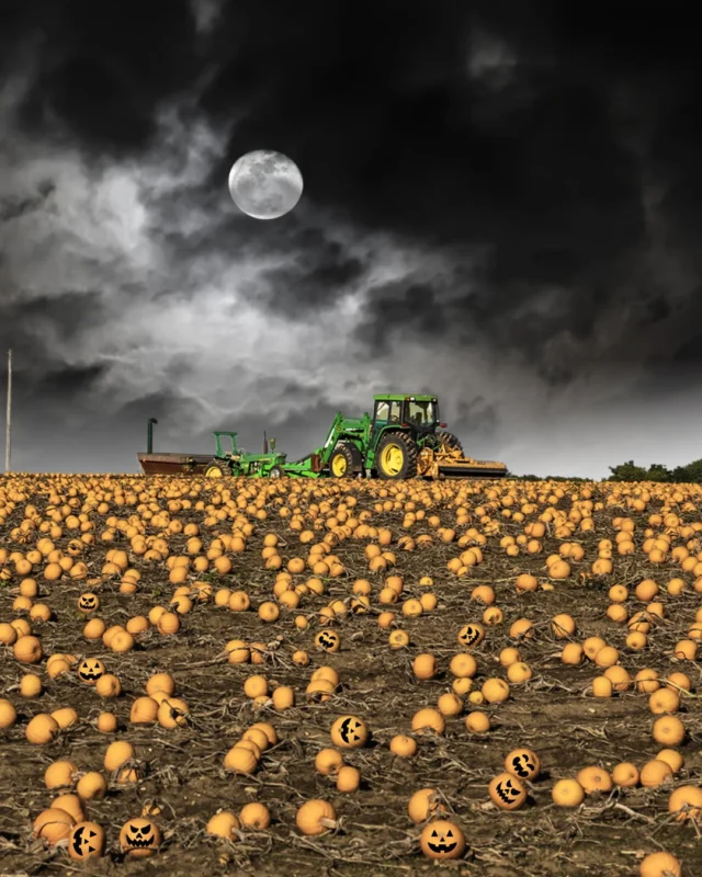 Fog rolls in. Pumpkins glow🎃 
And somewhere in the mist… a machine creeps through the patch 👻
Spooky season hits different when your Halloween backdrop is a working field.
No tricks, just a hauntingly good harvest.
Wishing everyone a safe and spooky Halloween🎃 👻 
#SpookySeason #PumpkinPatchVibes #HalloweenInTheField #OctoberMood #FarmLife #HarvestVibes #FoggyFields #rdoequipmentau