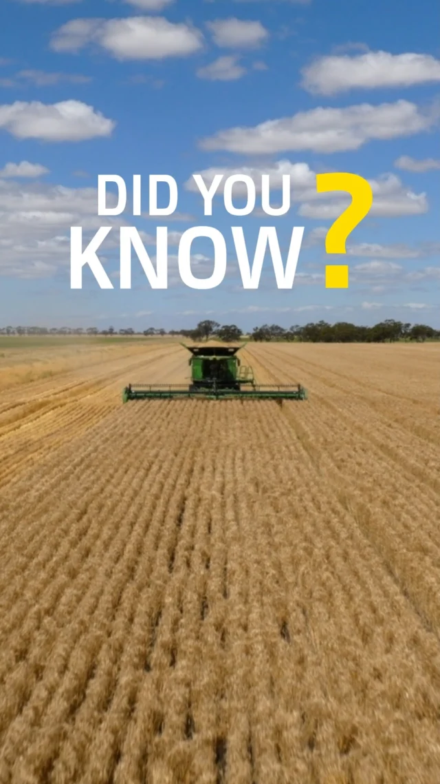 See how Auto Trac Turn Automation (ATTA) simplifies headland turns with hands-free accuracy, smoother transitions, and improved harvest efficiency. Reduce overlap, boost productivity, and stay focused on what matters.