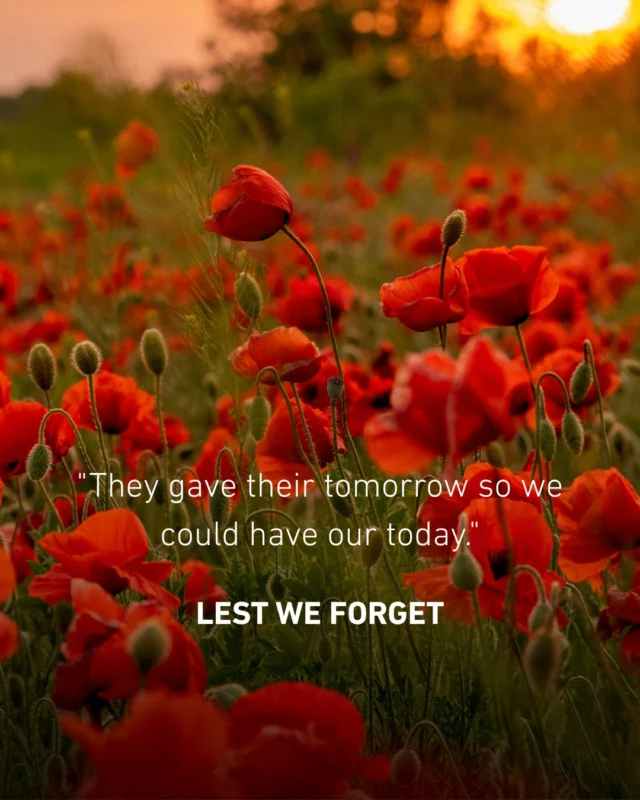 On this Remembrance Day, we pause to honour the courage, sacrifice, and service of all Australians who have worn our nation’s uniform.

Their legacy lives on in the freedoms we enjoy today and in the hearts of those who continue to serve.

Lest we forget.

#RemembranceDay