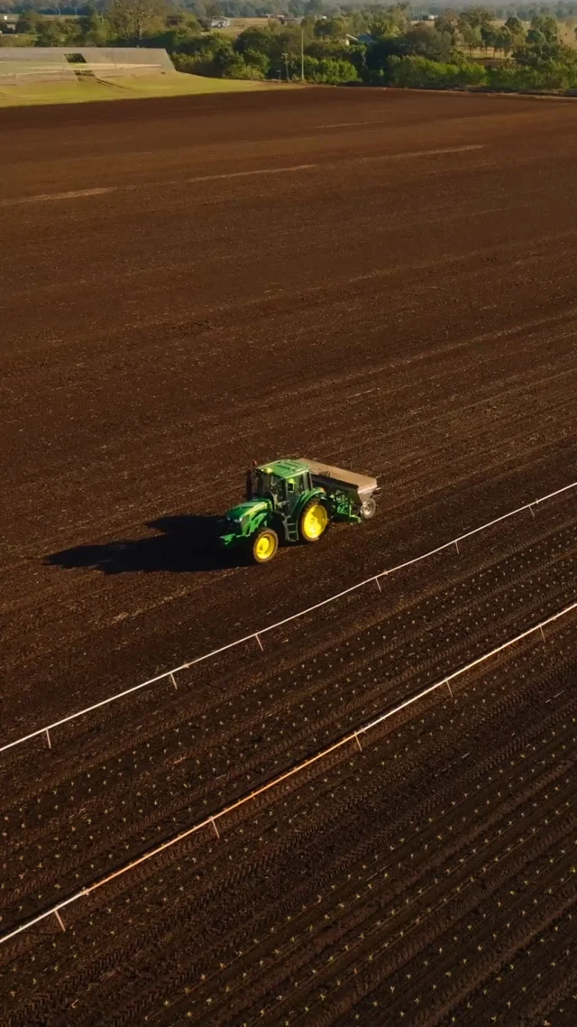 Supporting businesses that are shaping the future of farming.

We're proud to partner with Barden Farms and help them unlock the benefits of the latest John Deere technology.